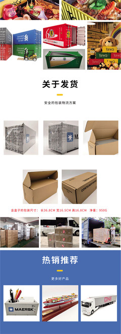 RIEGE集装箱模型 1:20货柜模型 展示用集装箱模型订制订做 海艺坊船模型厂